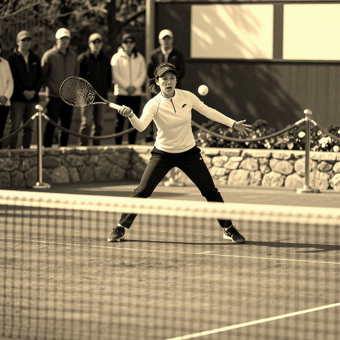 Không Thể Phân Tích Chi Tiết Do Dữ Liệu Trống Rỗng Trong Bóng Tennis