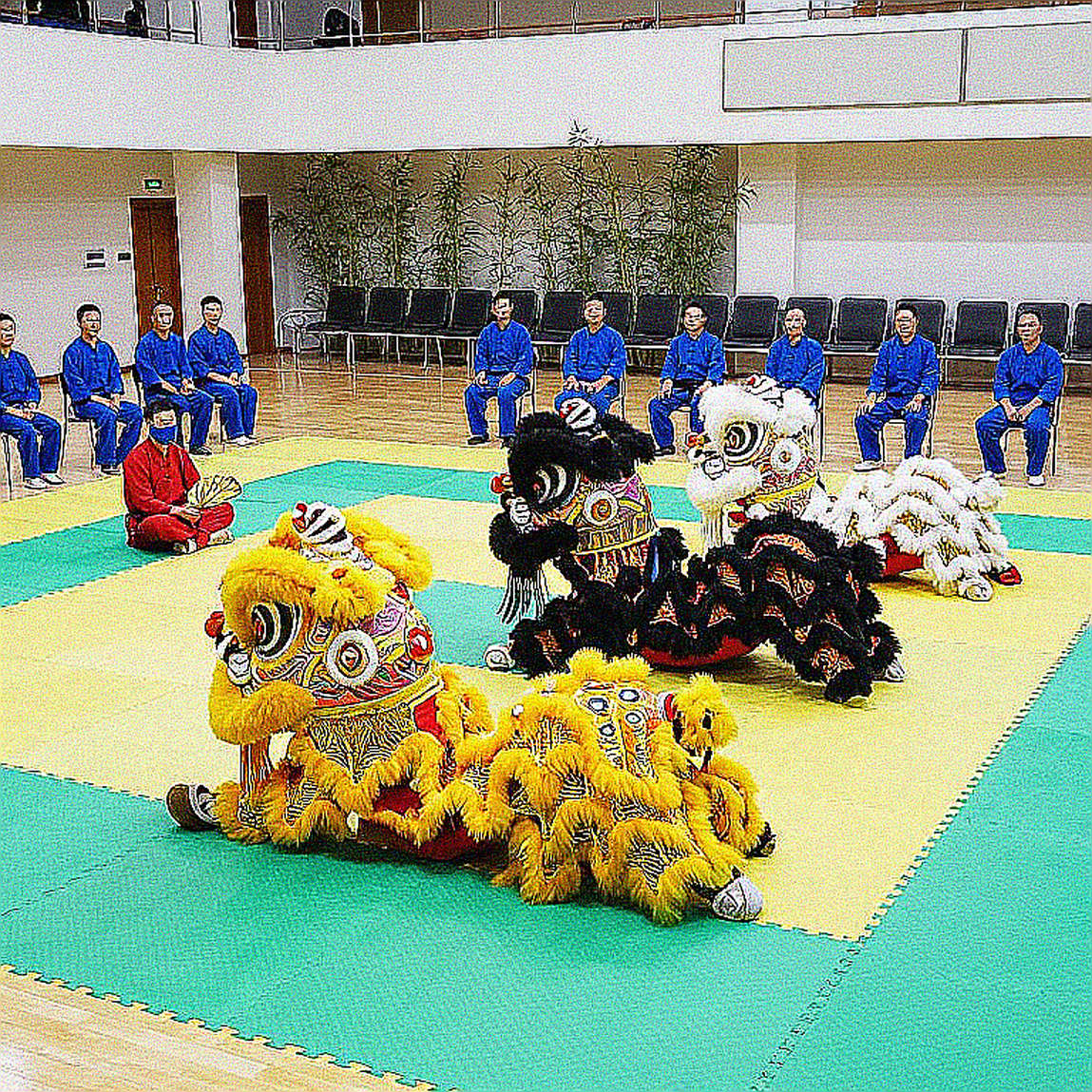 Poomsae Việt Nam tại Chuncheon: Đọc lại mô hình huy chương tập thể