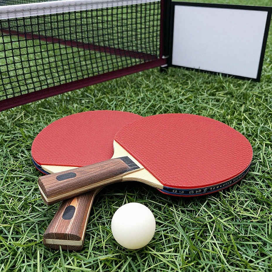 Sussex Senior 4*: Bảng hạt giống, niềm tin hệ thống và vị trí của nhà vô địch