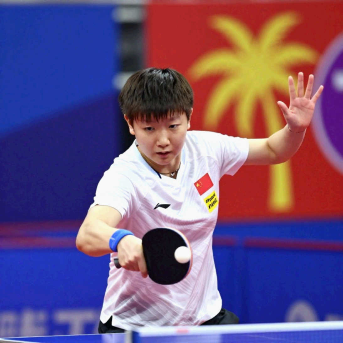 Bóng bàn và bảng dữ liệu trống: vì sao “không có thông tin” bị đọc nhầm thành “không có rủi ro” Bóng bàn và bảng dữ liệu trống: vì sao “không có thông tin” bị đọc nhầm thành “không có rủi ro”