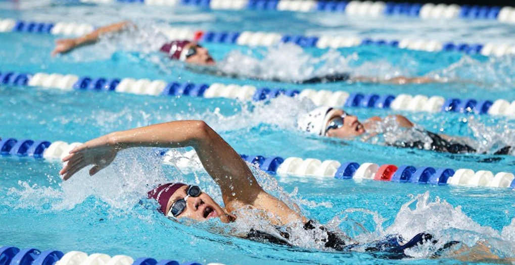 College Swimming League trả 25.000 USD cho mỗi trường vào chung kết: phần khung xương chưa ai công bố
